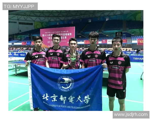 深圳排球队在挑战赛中的团队协作表现分析与点评